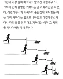 호프) 호프 보면 이해할 수 있는 이론
