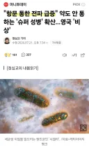 항문성교의 위험성...