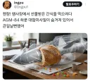 서코 음식테러 근황
