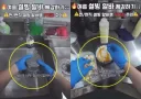 알바생 위생 논란 설빙 공식 사과문 게재