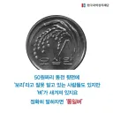 50원 동전에 통일벼가 있는 이유