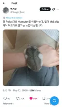 롤렉스 대신 손목에 차는것.