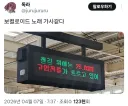 보컬로이드 가사같다는 기차 안내 문구
