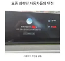 사람만 차를 긁는다고 생각하나요?
