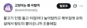 물고기 인형 들고 아침마다 놀아달라고 하던 고양이t