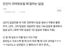 인간이 귀여워 보일 때 말하는 달글 캡쳐