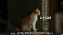 빌런들이 난무하는 피의게임2에서 모두에게 호감인 참가자.gif