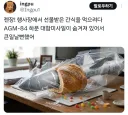 행사장 간식 근황.