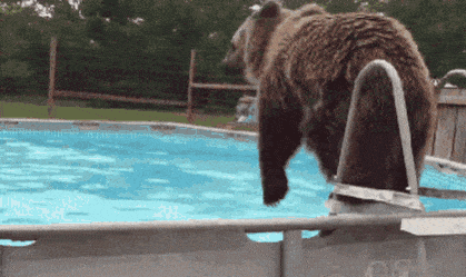 [ㅇㅎ] 워터파크 가면 볼 수 있는 장면들.gif