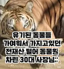 연 매출 10억이상인데 사장 월급은 300만원