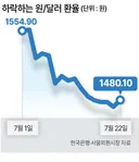환율 공포네요