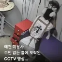 보호자 없는 틈에 CCTV에 찍힌 끔찍한