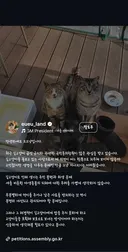 길고양이 급식제한 반대청원에 목소리 내준 사람들