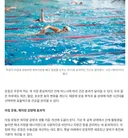 여자는 운동 무조건 아침에 해야 하는 이유.jpg