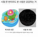 학교 시험 한 번이라도 본 사람은 공감하는거. jpg
