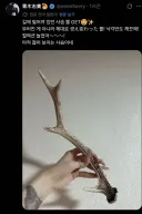길 걷다가 개쩌는 걸 주웠다는 일본 성우.