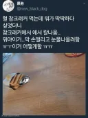 참크레커 먹는데 칼나옴 ㅠㅠ.jpg