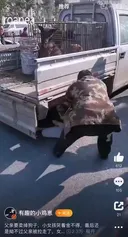 개고기 업자에게 개를 팔아넘긴 아버지