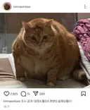 반응 난리난 김냄비 근황...jpg