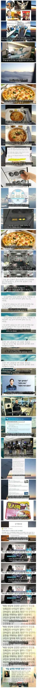 대한민국 기내 갑질 레전드 사건