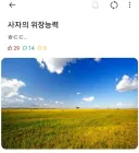 사자의 위장 능력.jpg