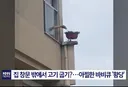 집 창문 밖에서 고기 굽기 ㄷㄷㄷ