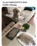 어느순간 리뷰에 강아지가 안 보여서 아쉬웠던 사장님.jpg