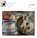 올해 초복 사람들을 당황시켰던 삼계탕