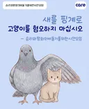 새를 핑계로 고양이를 혐오하지 마십시오 - 승리와 평화의 비둘기를 위한 시민 모임