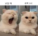 맨날 피곤하다는 사람들 특징