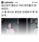 길고양이 혐오는 여러 원인들이 얽혀있다