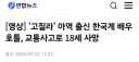 몬스터버스 킹콩의 친구 '지아' 역 배우 교통사고로 사망