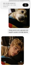 우리집 댕댕이 gpt에게 사람으로 만들어 보라 했더니