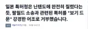 일본 특허청: 닌텐도 꺼져
