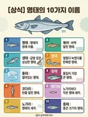 명태 10가지 이름.jpg