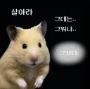 개인적으로 남캐 문제는 그거임