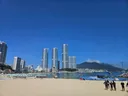 현재 송도.부산