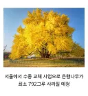 또 선동에 넘어가는 유게이들