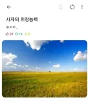 미쳐버린 사자의 위장능력