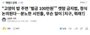“고양이 밥 주면 ‘벌금 100만원’” 캣맘 금지법, 정식 논의된다…분노한 시민들