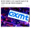 메모리 3사 대신 중국산 램 찾아떠난 기업들 근황