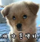 진심) 명동떨이는 왜 븅신이 되었을까?