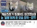 게슴츠레가 트레이드 마크였는데 눈 '말똥'하게 뜬 모습 포착