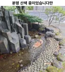 분명 산책 중이었습니다만