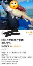싱글벙글 당근 근황