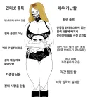 인터넷에서 본 백인우월주의자 서양녀 특징