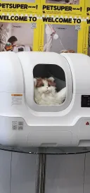 "너와 함께 피난할 준비다냐!!!!!"