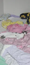 진짜 우리집 카레상태가 왜이러는걸까요..??