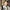 엔화 떨어져서 일본 갈 생각 있는 유게이들 질문좀