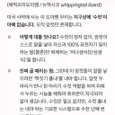 수컷이 아예 없다는 기묘한 생물